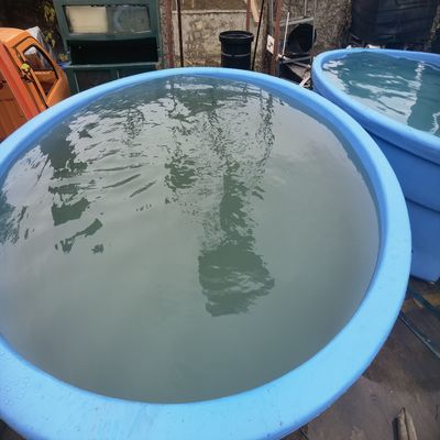 Moule de réservoir d'eau haute performance pour une application à une température de 50 ℃